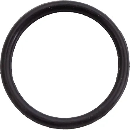 TILLOTSON FM19 FLANGE RING